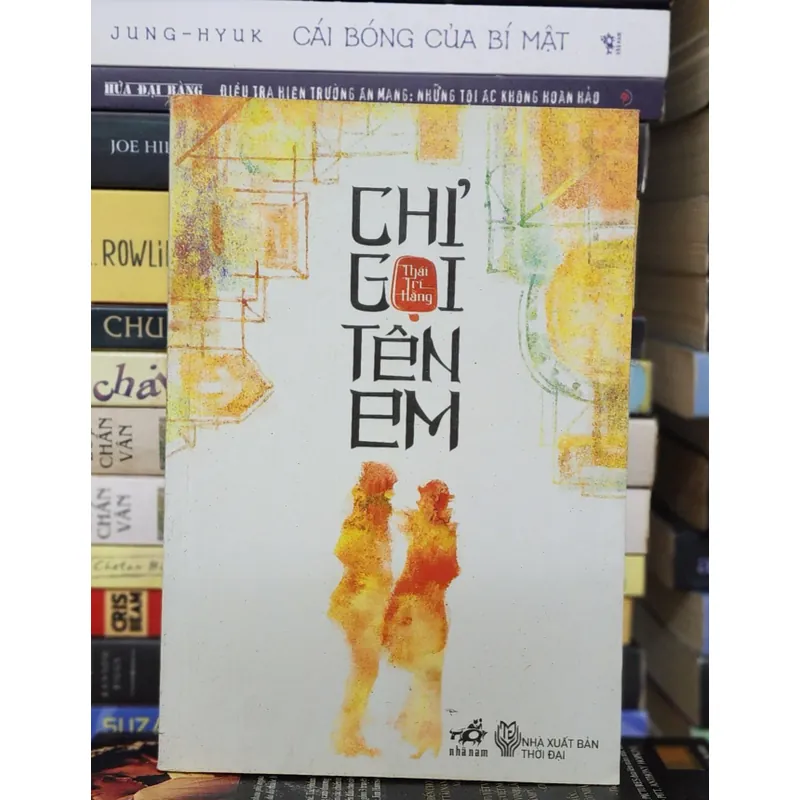 Tiểu thuyết CHỈ GỌI TÊN EM - Thái Trí Hằng 719279