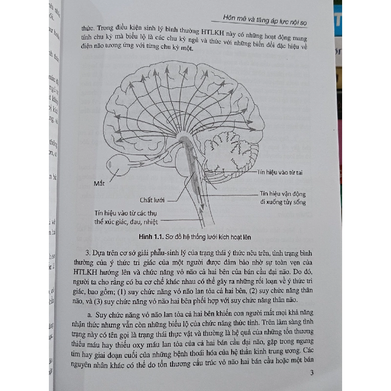 Điều trị bệnh thần kinh - Vũ Anh Nhị (chủ biên) 1004298
