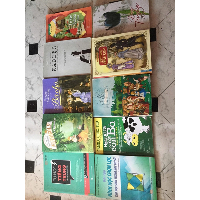 23 quyển sách cũ tổng hợp văn học phương tây,sách tự học ,selfhelp,.. 496453