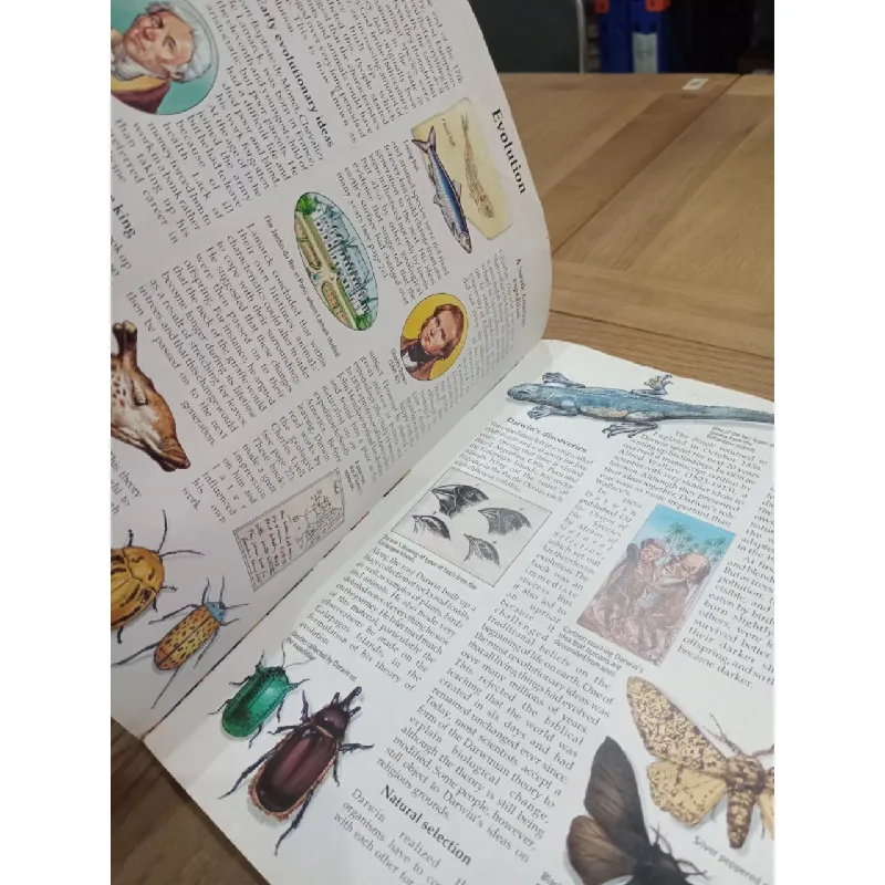 The Usborne book of scientists from Archimedes to Einstein - Reid and Fara 681771