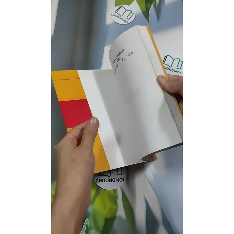 Phật giáo và chân lý giác ngộ - Trường Tâm & Hoàng Yến 776206