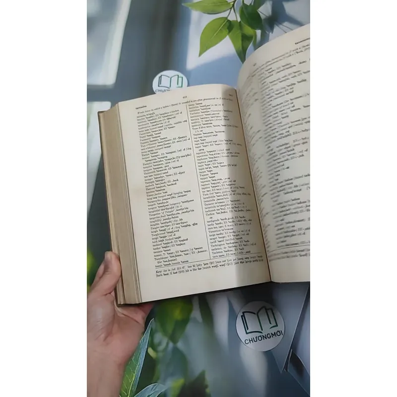 [MIỄN PHÍ BỌC SÁCH] [XƯA] A Pronouncing Dictionary Of American English (1953) 990529
