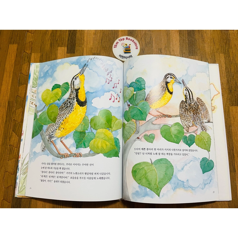 Set sách tranh cho bé 아이성장 그림책   496934