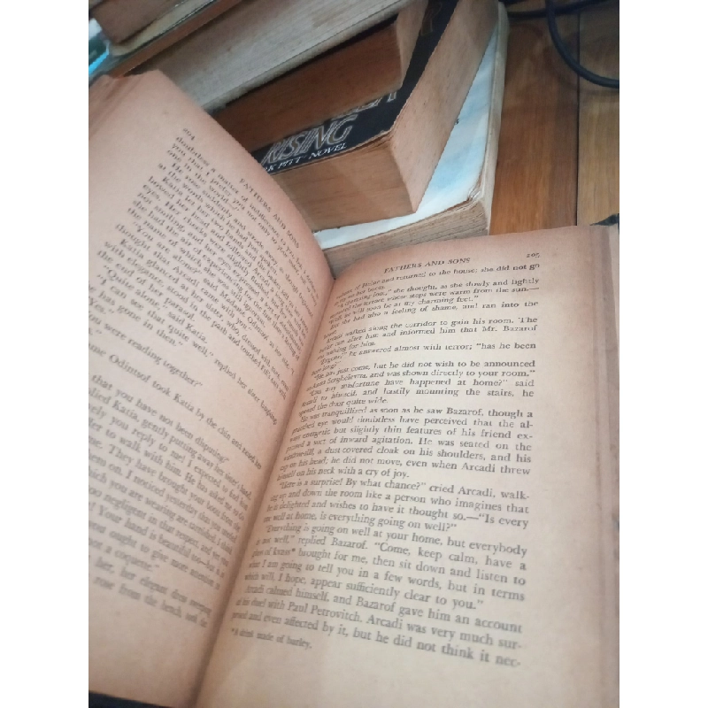 Fathes and Sons - Ivan Serghei'evitch Turgenev 523024