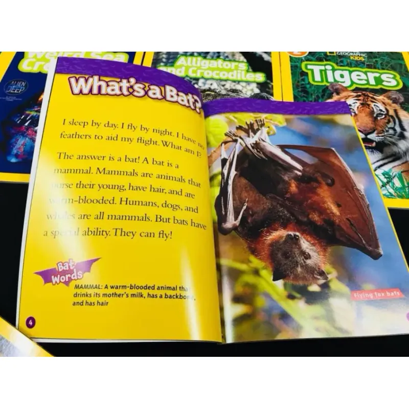 Sách Khoa học - National Geographic kids - Level 2 41 cuốn giấy bóng đẹp - tặng Audio 1000830