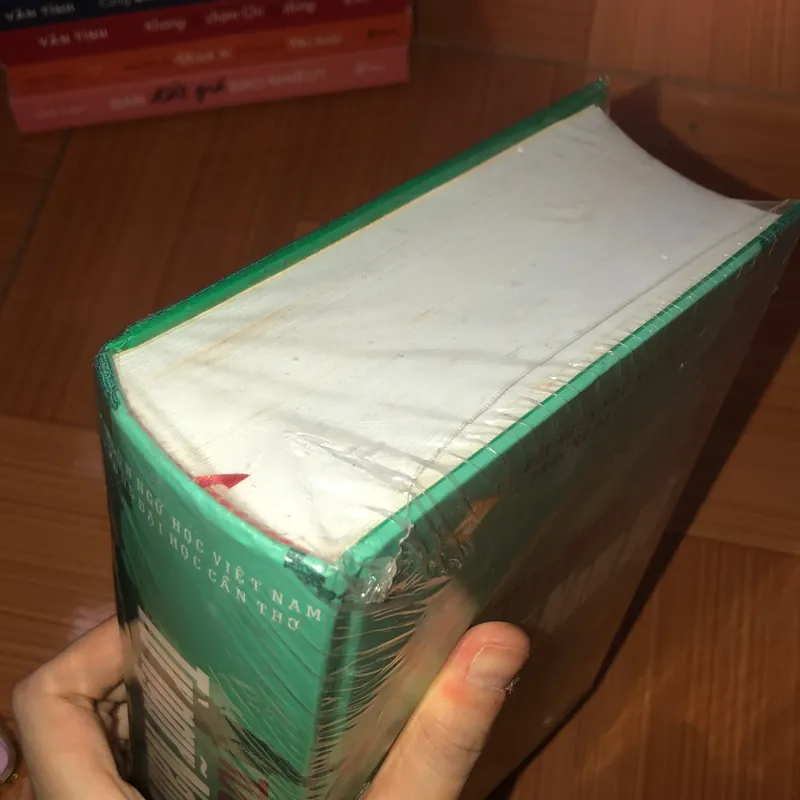 Từ điển từ ngữ Nam Bộ  715232