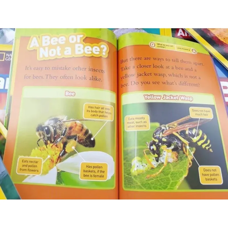 Sách Khoa học - National Geographic kids - Level 2 41 cuốn giấy bóng đẹp - tặng Audio 1000830