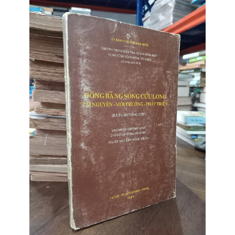 Đồng bằng sông Cửu Long, tài nguyên- môi trường- phát triển - GS.TS. Nguyễn Ngọc Trân 496430