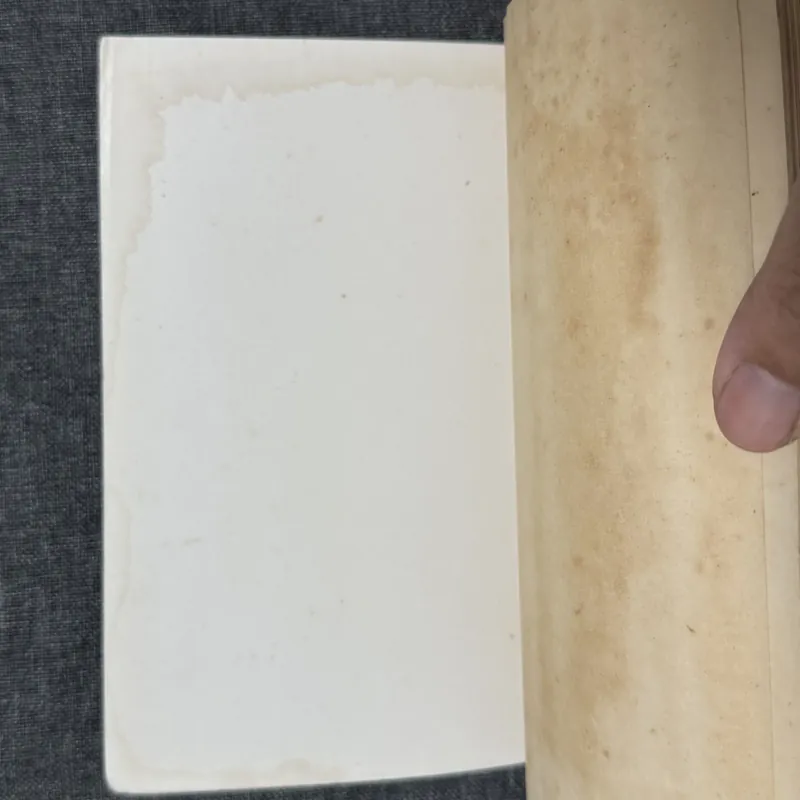 Sách Mưa nguồn - Bùi Giáng (1993) 739075