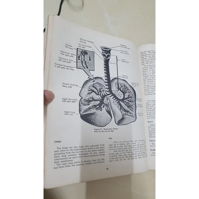 CẤM NANG PHÒNG MỔ  971557