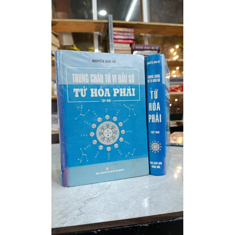 TRUNG CHÂU TỬ VI ĐẨU SỐ TỨ HOÁ PHÁI - NGUYỄN ANH VŨ 786059