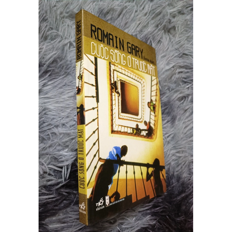 Cuộc sống ở trước mặt (Romain Gary) 528454