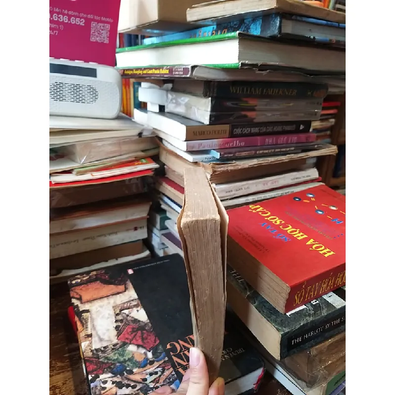 L'art renaissant - Élie Faure 606037