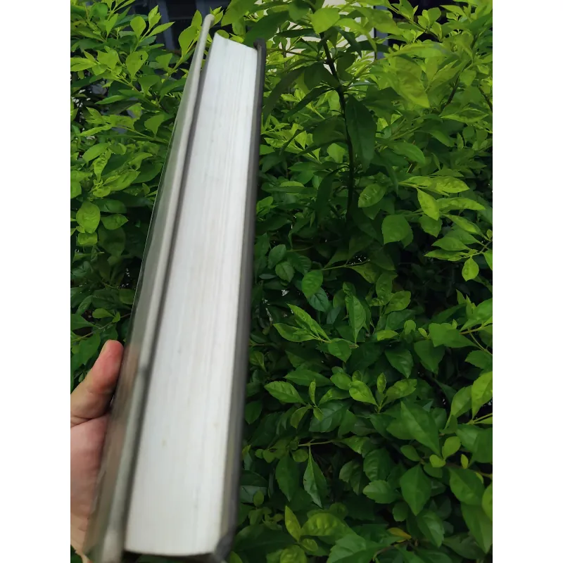 Marian Tkachev người bạn tài hoa và chí tình  1002579