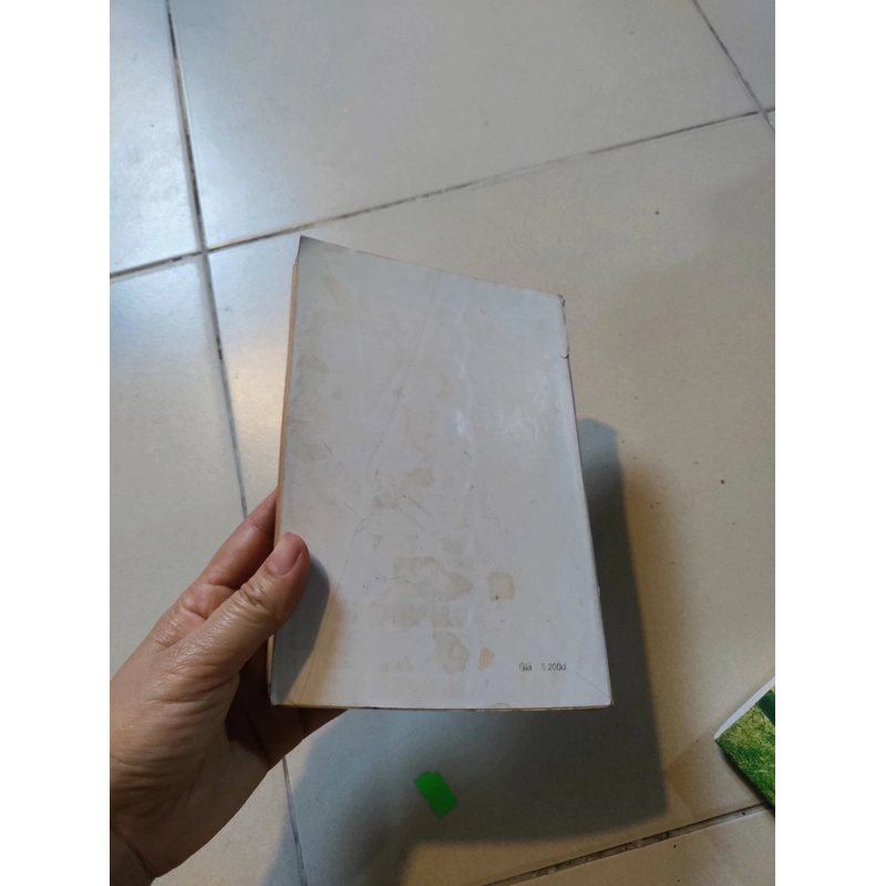 Đêm về lá rụng 477150
