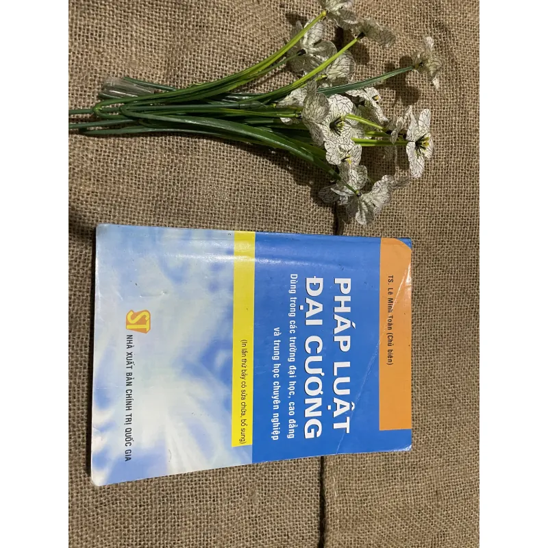 Pháp luật đại cương Dùng trong các trường đại học, cao đẳng và trung học chuyên nghiệp 797689