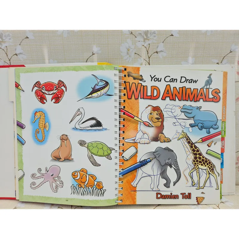 You Can Draw (Over 100 drawings to master!) 993534