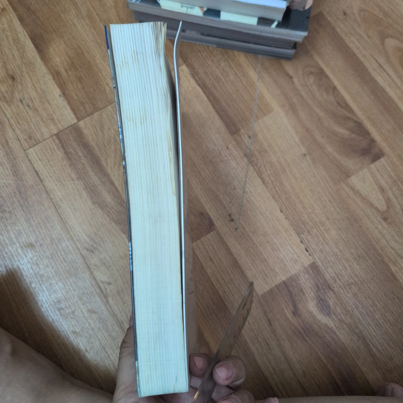 Quạ đen quạ trắng - Nhĩ Nhã 531051