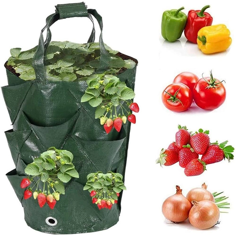 Túi Trồng Cây Bằng Vải 10 Gallon – Trồng Dâu, Cà Chua, Hoa, Rau Sạch – Có Quai 474076