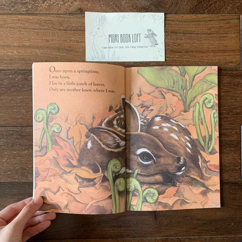Sách ngoại văn Once Upon a Springtime, Used, minh họa đẹp 522853