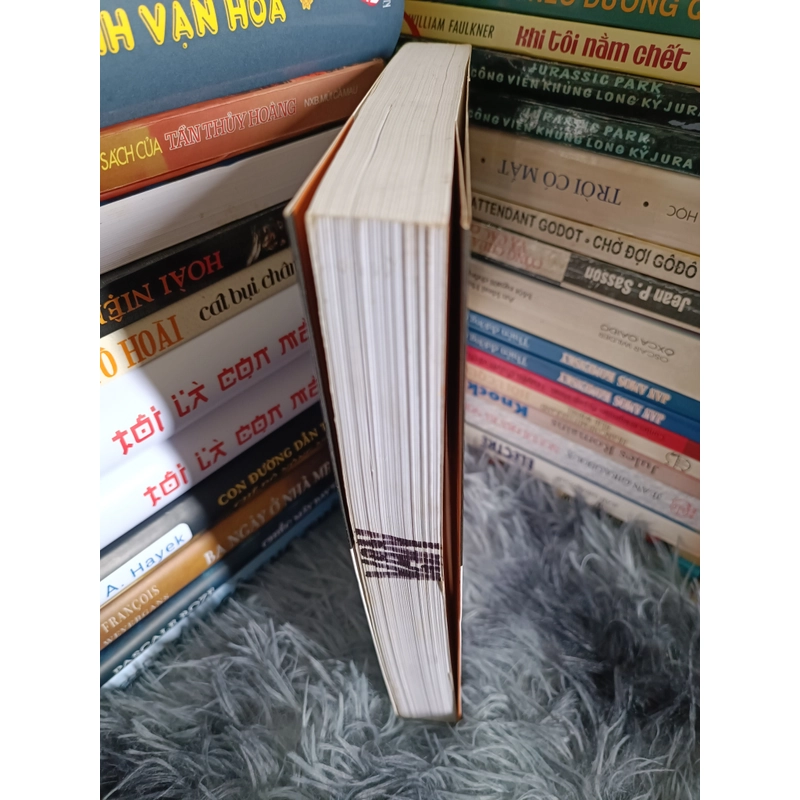 Hoàng Cầm hồn thơ độc đáo 477902