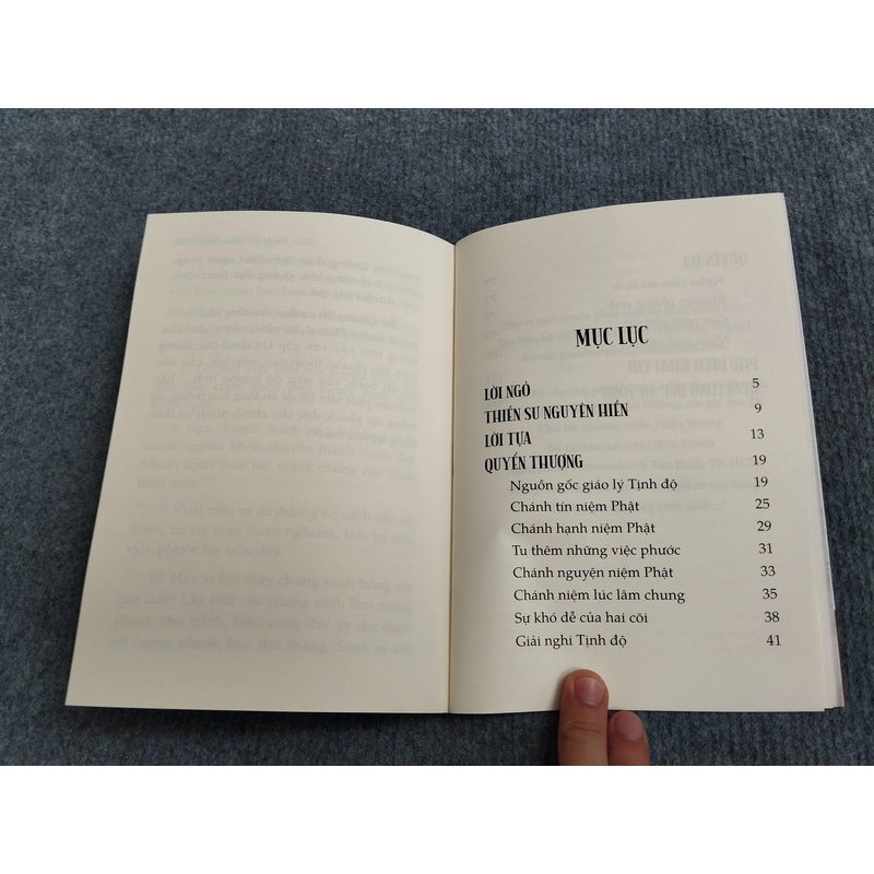 TỊNH TỪ YẾU NGỮ 494888
