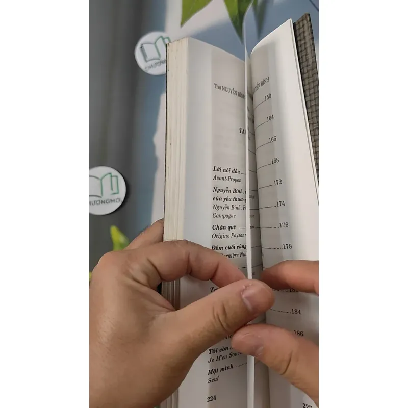 Thơ Nguyễn Bính Tuyển Chọn - Song ngữ Việt Pháp - Hoàng Hữu Đản dịch 798292