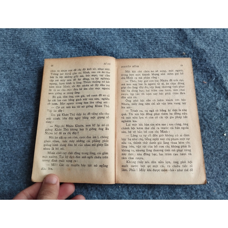 BỈ VỎ - NGUYÊN HỒNG 478547
