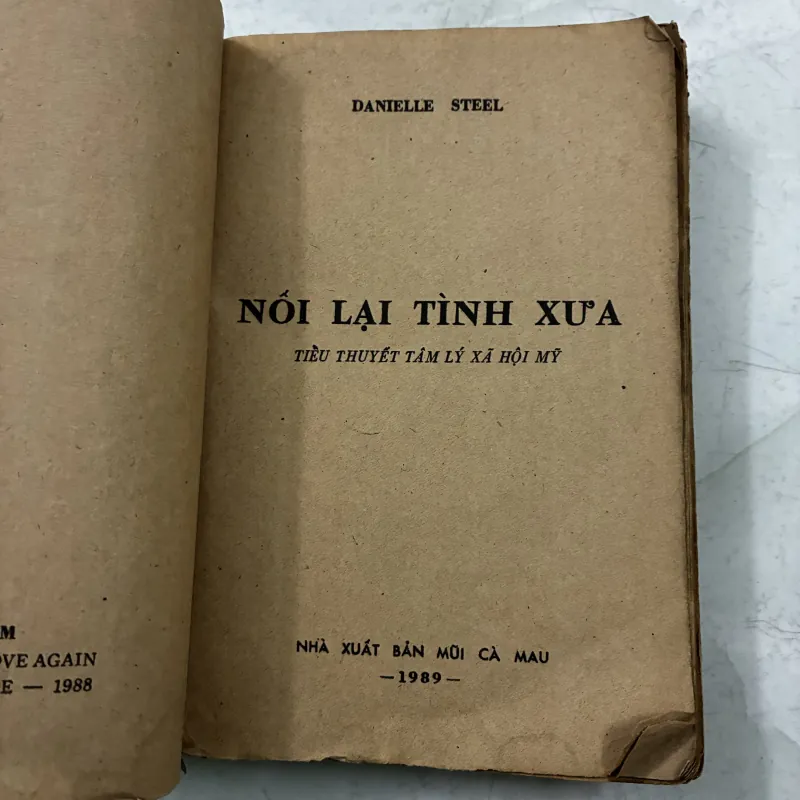 Nối lại tình xưa - Deniel Steel 1024689