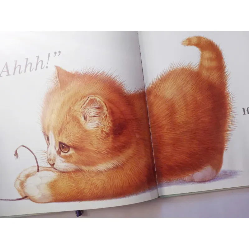 If You See a Kitten 993532