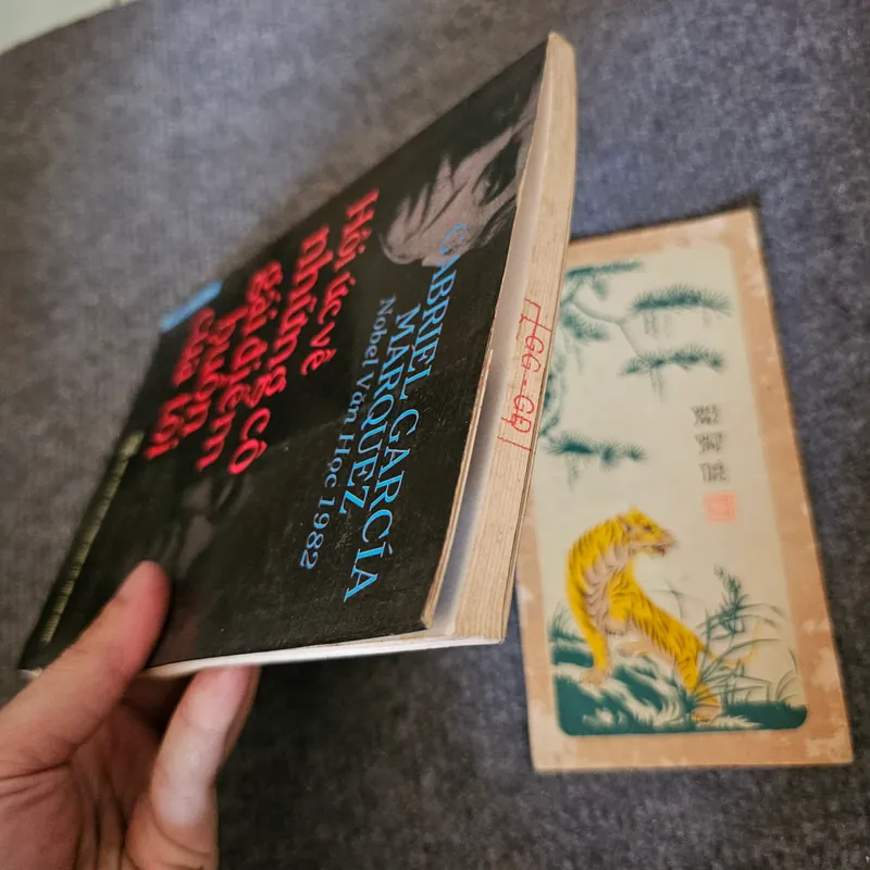 Hồi ức về những cô gái điếm buồn của tôi - Marquez 736244