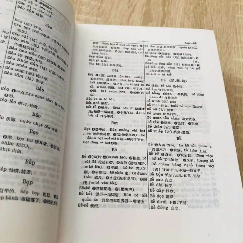 TỪ ĐIỂN VIỆT - HÁN 1000525