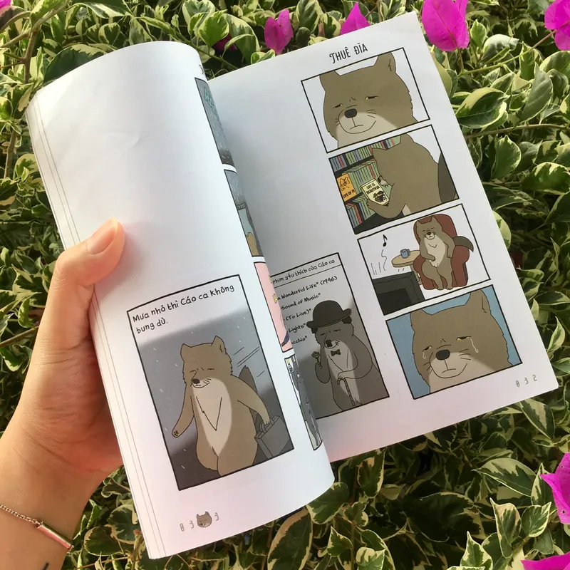 Cáo ca chuẩn man 1 Q-Rais 596234