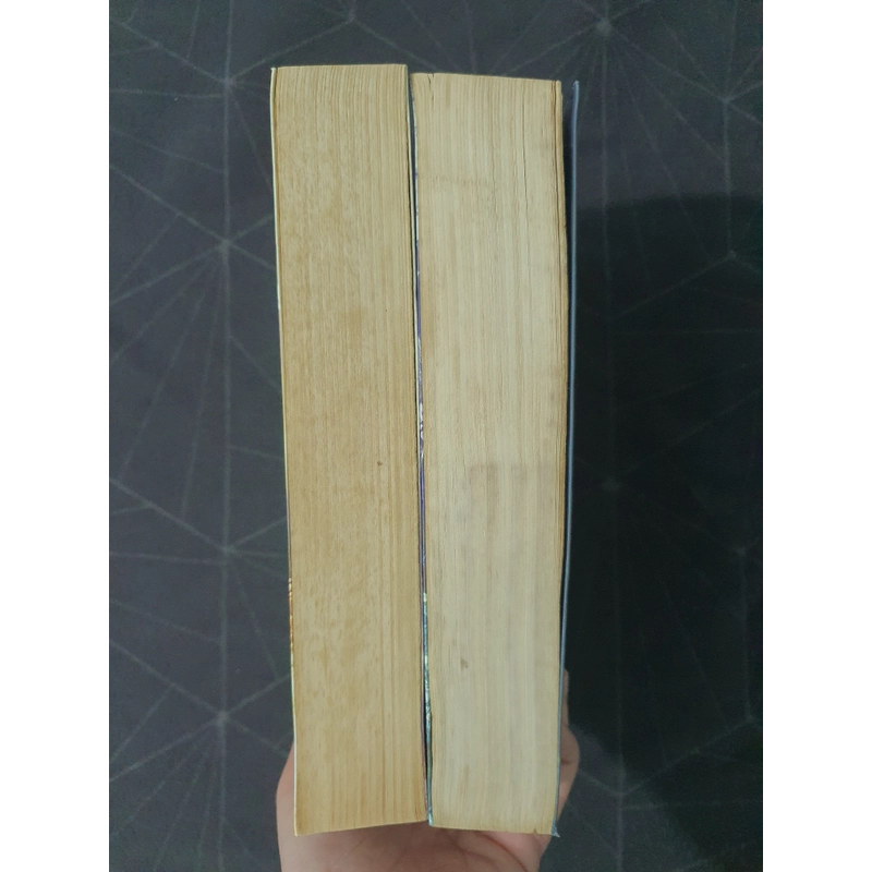 Combo "Lên cung trăng tìm tình yêu" - Hoa Thanh Thần 492904