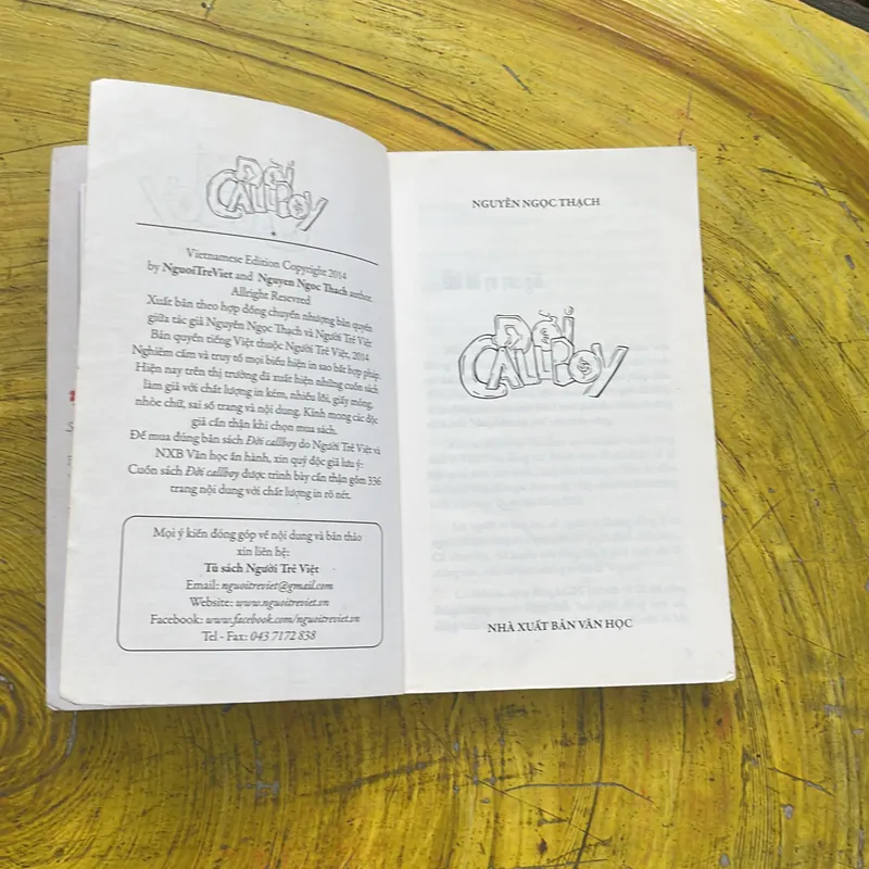 ĐỜI CALLBOY - NGUYỄN NGỌC THẠCH - văn học 2014 738007