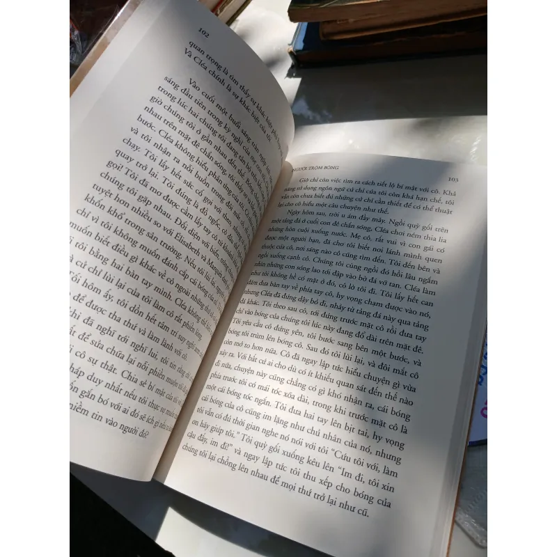 NGƯỜI TRỘM BÓNG - MARC LEVY (Lê Đình Chi dịch) 1002283