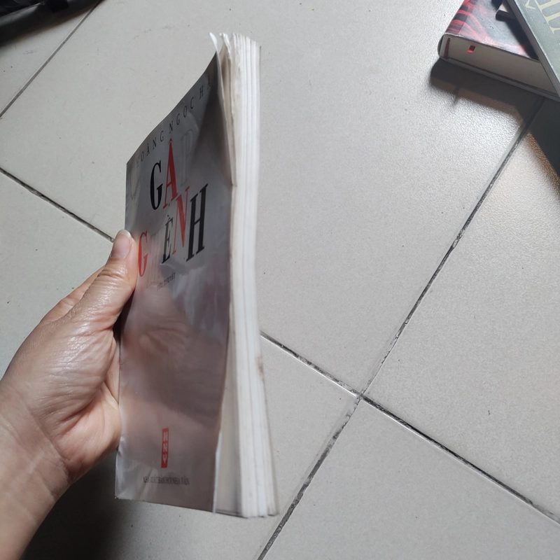 Tiểu thuyết gập ghềnh của Hoàng Ngọc Hà 471963