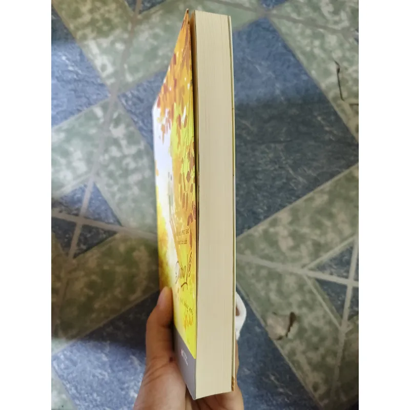 Đường về gặp lại dưới nắng mai - Mặc Bảo Phi Bảo 933570