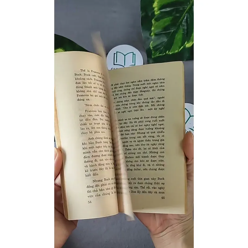 Tiếng Gọi Nơi Hoang Dã (1996) - Jack London 604594