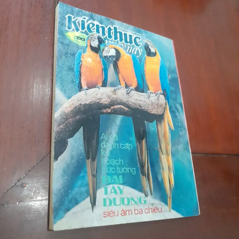 KIẾN THỨC NGÀY NAY số 133 ngày 1-3-1993 738017