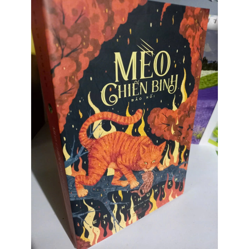 mèo chiến binh 507567