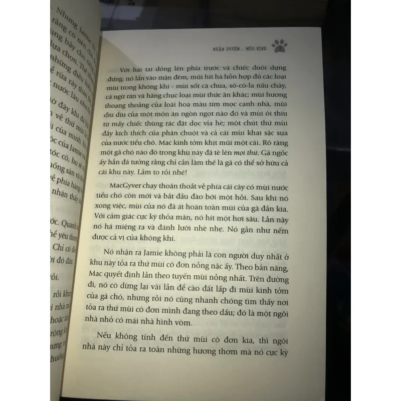 Nhân duyên mèo định - Melinda Metz 1024019