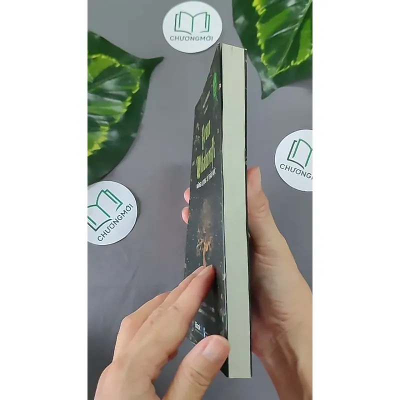 [MIỄN PHÍ BỌC SÁCH] Năng Lượng Từ Thảo Mộc - Paige Vanderbeck 604646