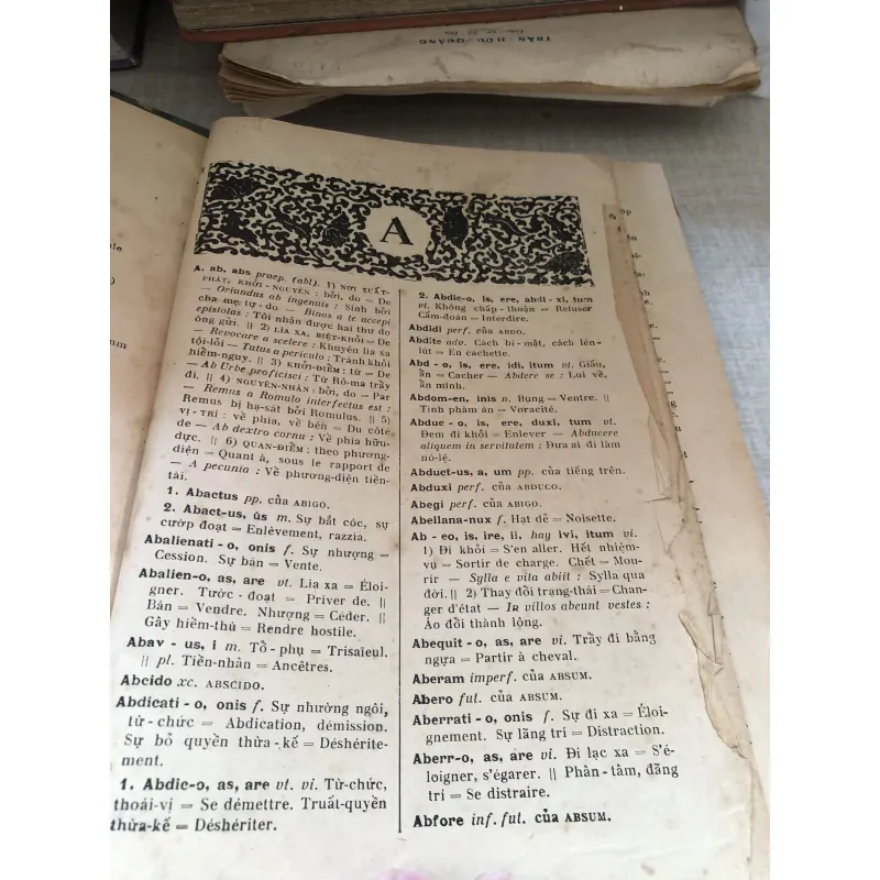 Từ điển La Việt 1001017