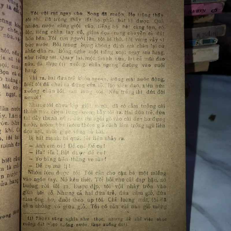 Dế mèn phiêu lưu ký - Tô Hoài 1037803