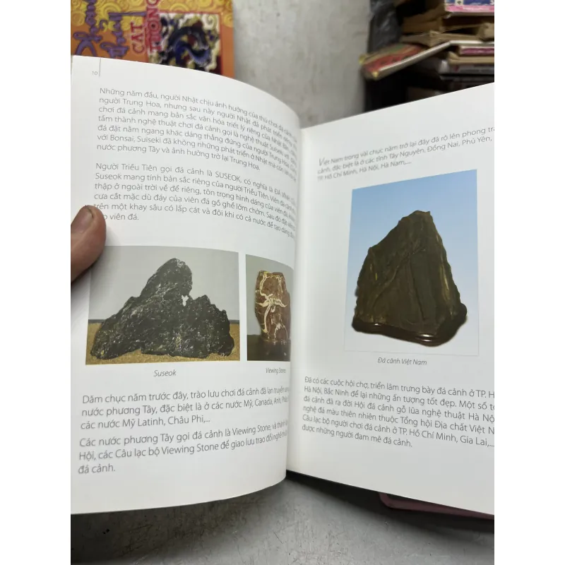 Nghệ thuật thưởng ngoạn đá cảnh 971284