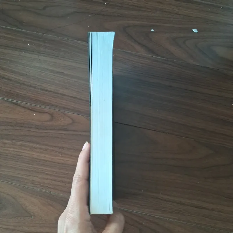 Sách mặc môn - một chứng thư khác về chúa Giê Su ki tô 557748