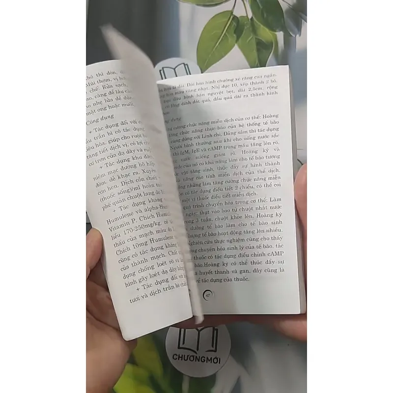 Món ăn - bài thuốc trị bệnh táo bón 688493