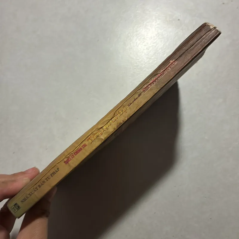 Triết lý chính trị Trung Hoa cổ đại và vấn đề Nhà nước pháp quyền (ẩm mốc) 759298