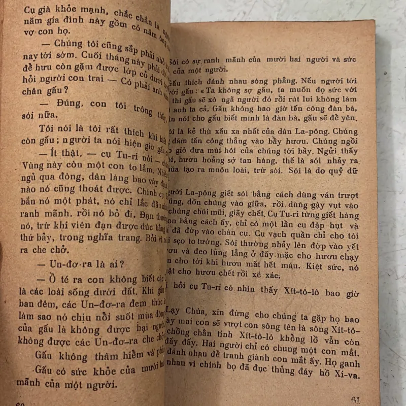 Thánh đường chim 1031028